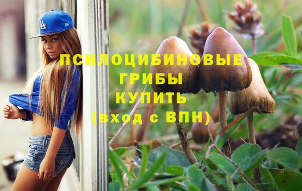 мяу мяу кристалл Алексин