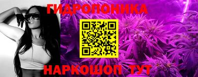 мескалин Кингисепп