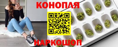 мескалин Кингисепп
