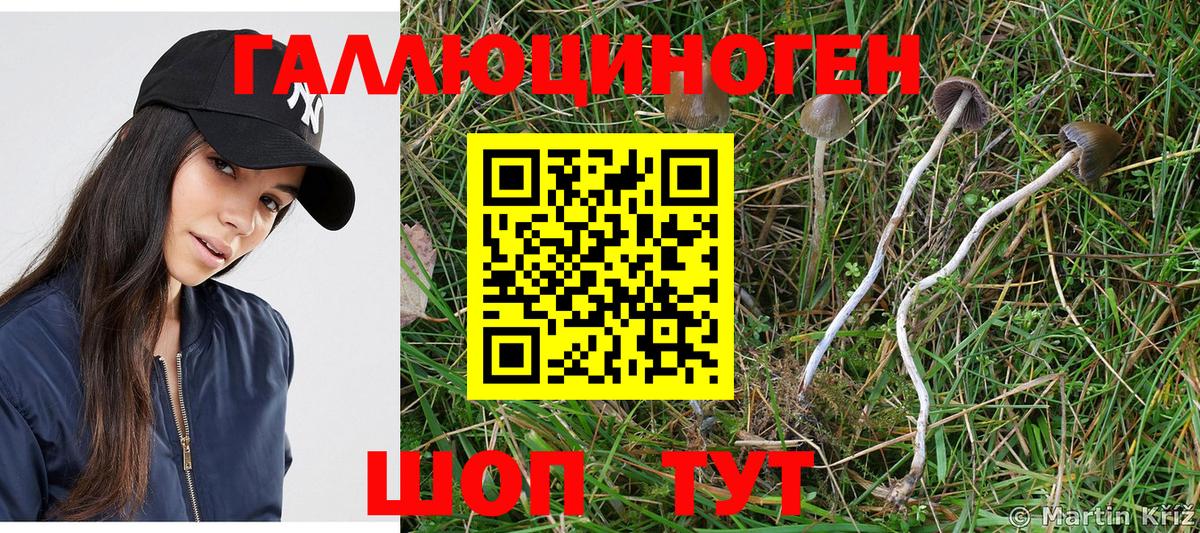 Галлюциногенные грибы Psilocybine cubensis  Галлюциногенные грибы ЛСД  Вход с VPN  Новозыбков 