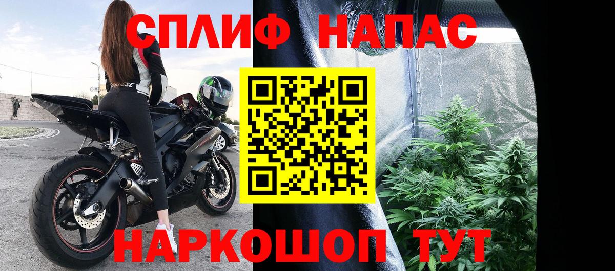 Канабис AK-47  Канабис White Widow  Вход с VPN  Новозыбков  МАРИХУАНА планчик 